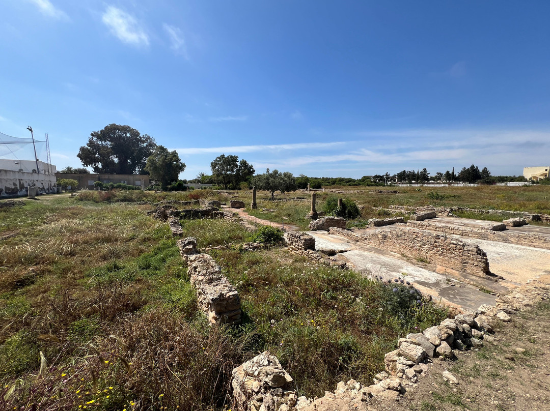 Pupput Roman Site-哈玛麦德必去景点