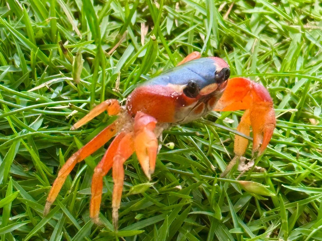 Maxwell Beach-Maxwell必去景点