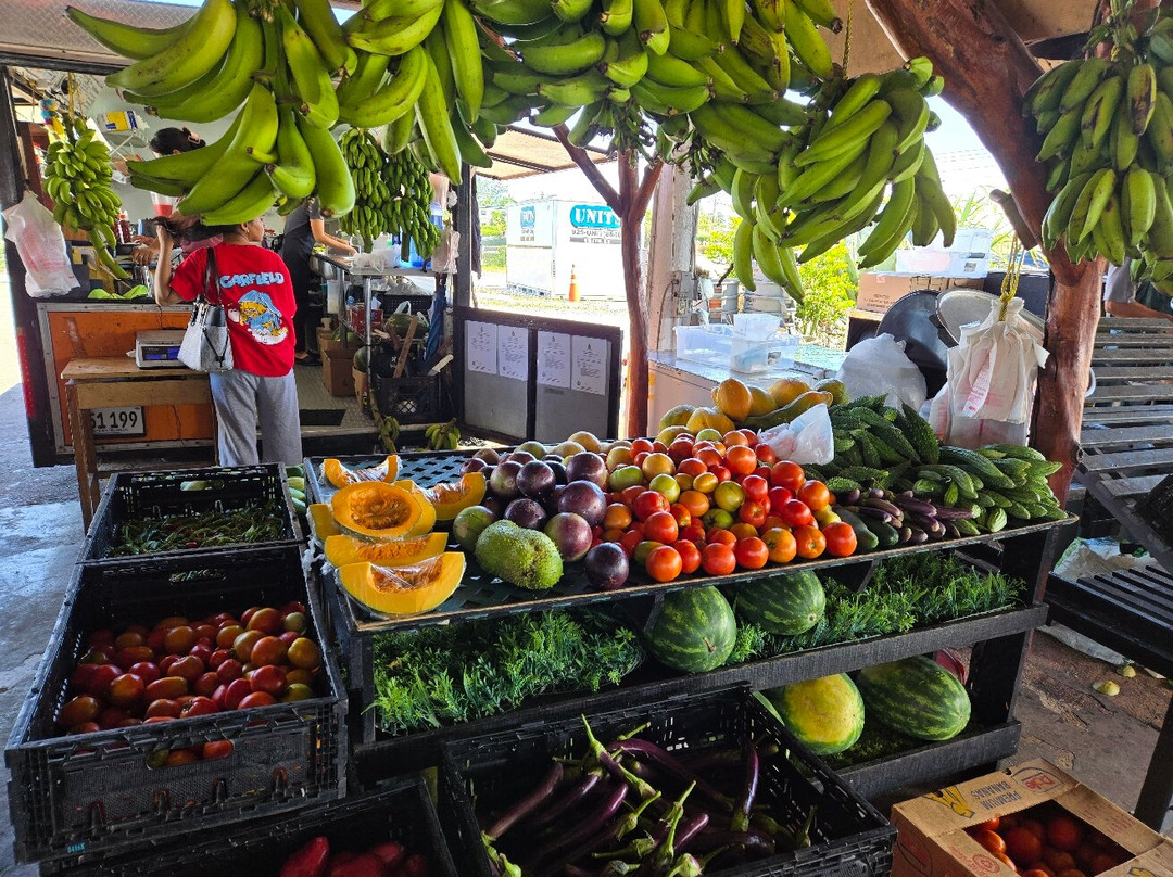 Farm Fresh Direct-乔治城必去景点