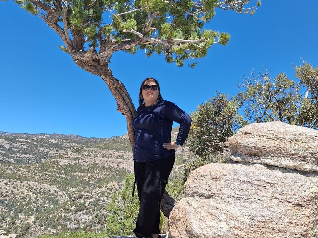 Mount Lemmon-Mount Lemmon必去景点