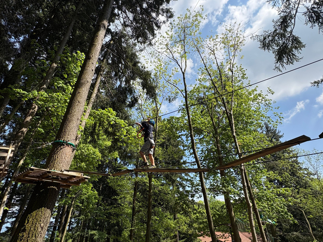 Jungle Raider Park-Albavilla必去景点