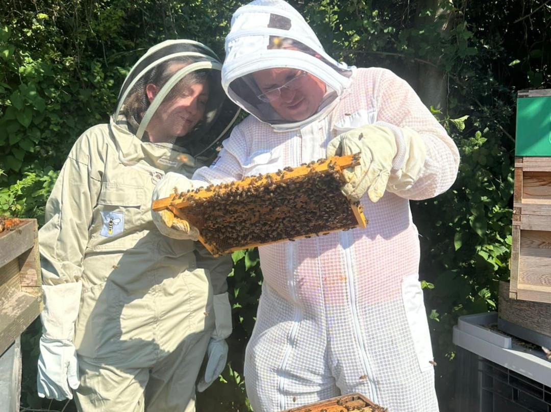 The Bee Butler景点图片