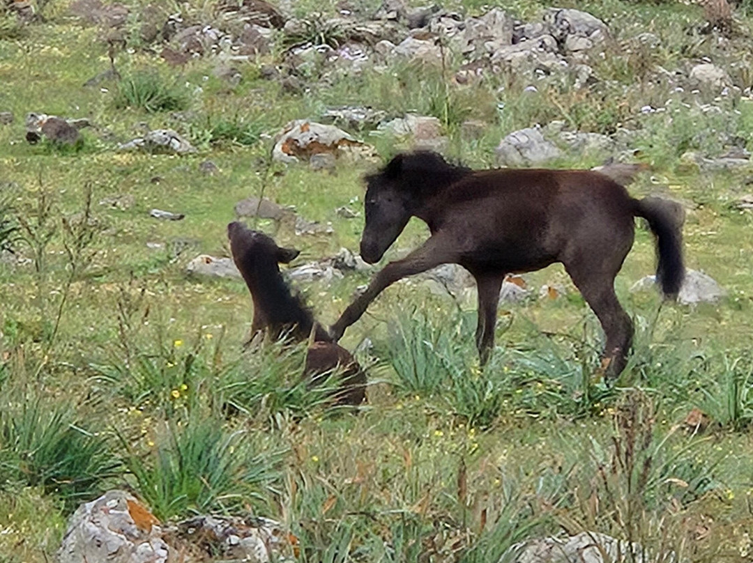 Inside Sardinia Guide-卡利亚里省必去景点