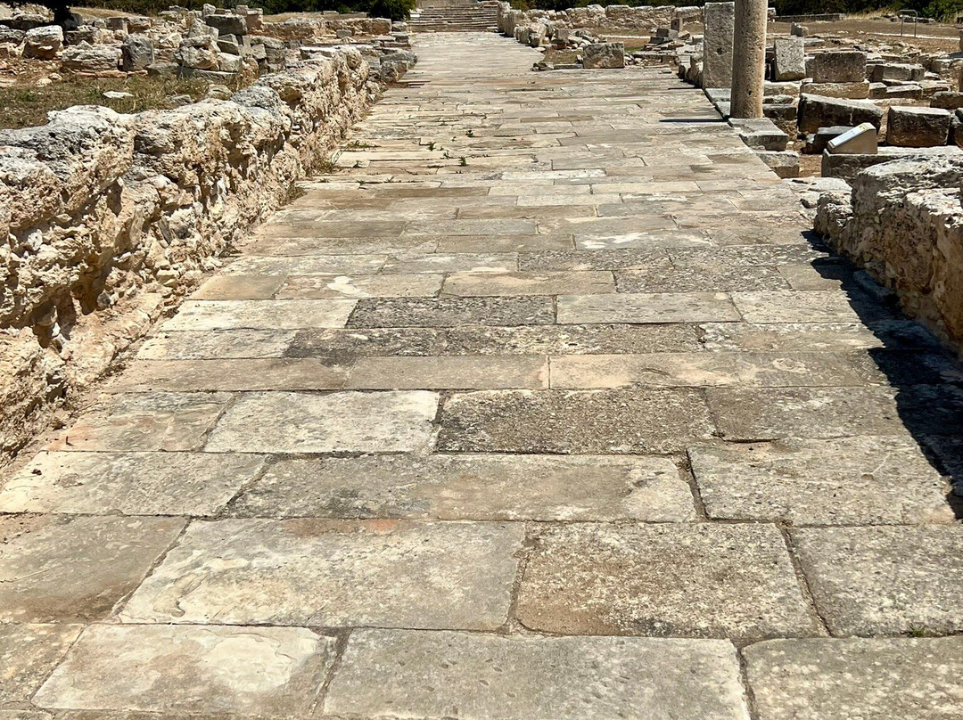 The Sanctuary Of Apollo-Episkopi必去景点