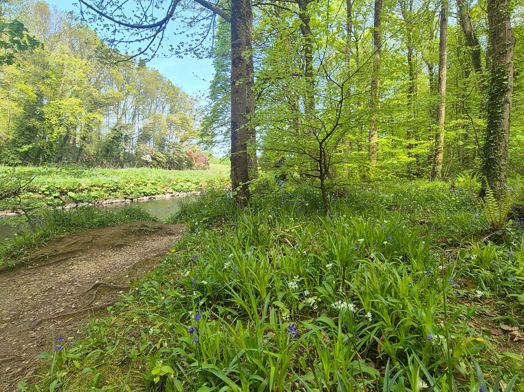 Glenarm forest-Glenarm必去景点