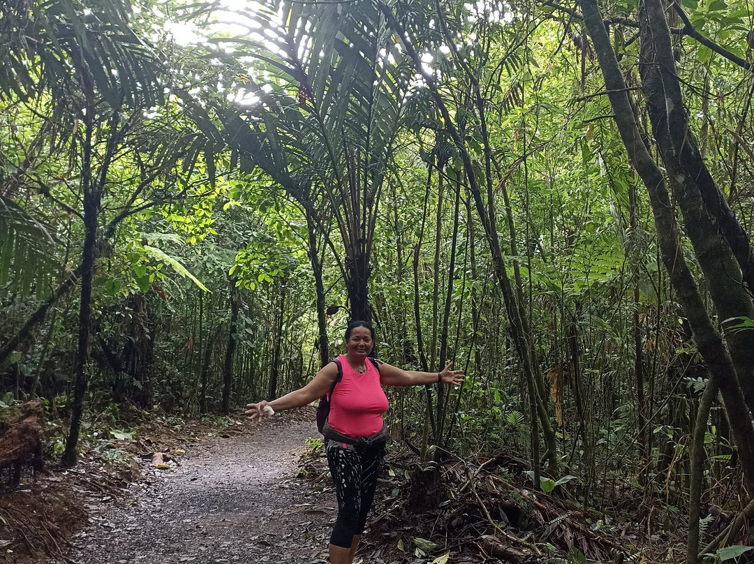 Canopy San Lorenzo-圣拉蒙必去景点