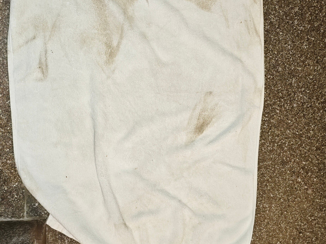 The Fern Residency, Mundra主图