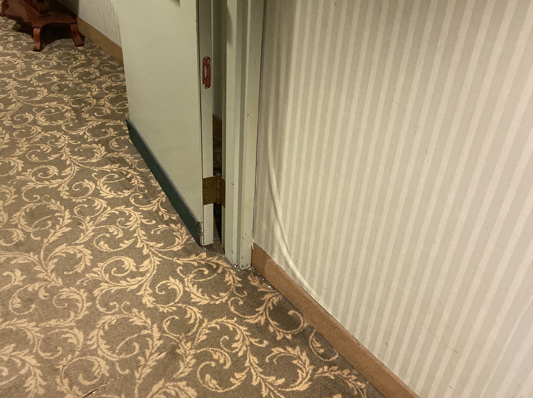 萨尔瓦托大酒店主图