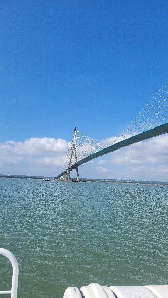 Promenade en Bateau Honfleur景点图片