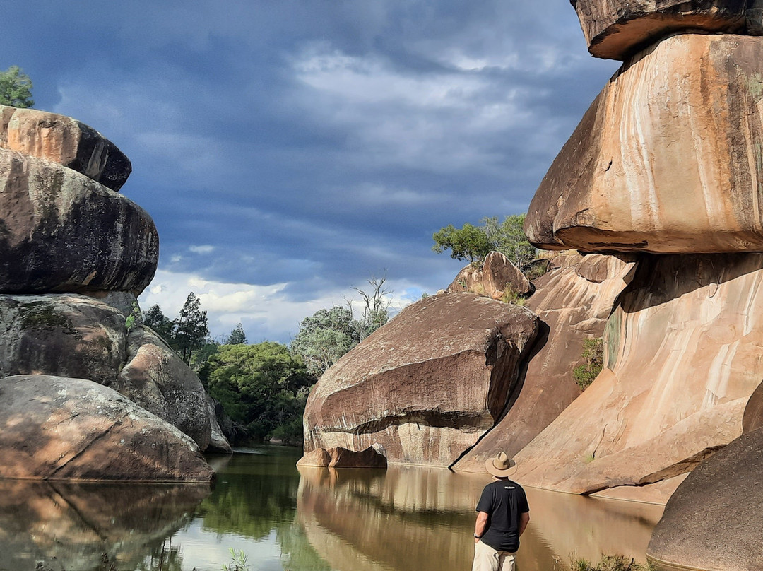 Cranky Rock Nature Reserve景点图片