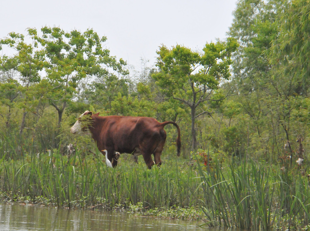 Delta Discovery Tours-Empire必去景点