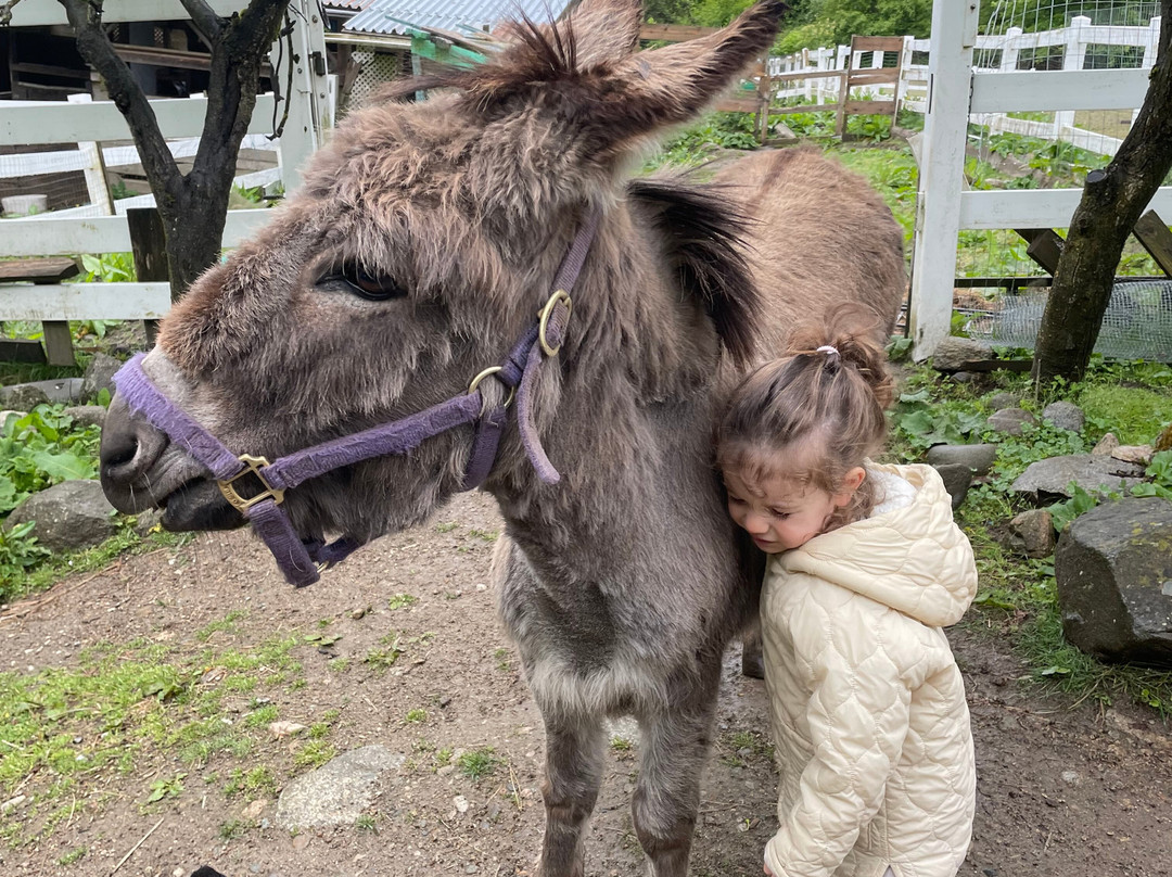 Farm Ventures-Roberts Creek必去景点