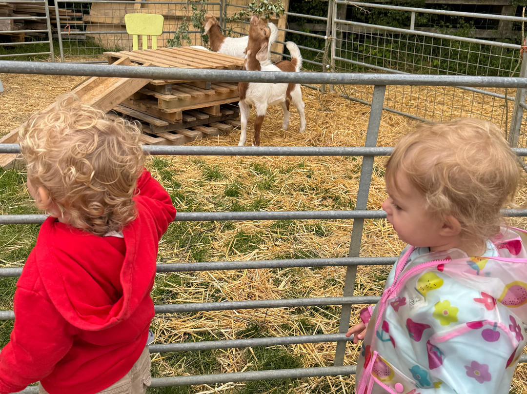 Tostock Animal Park-Tostock必去景点