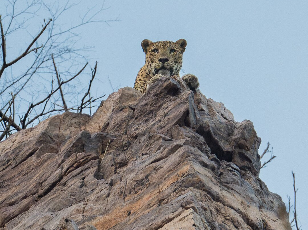 Sudhir Shivaram Photography-班加罗尔必去景点