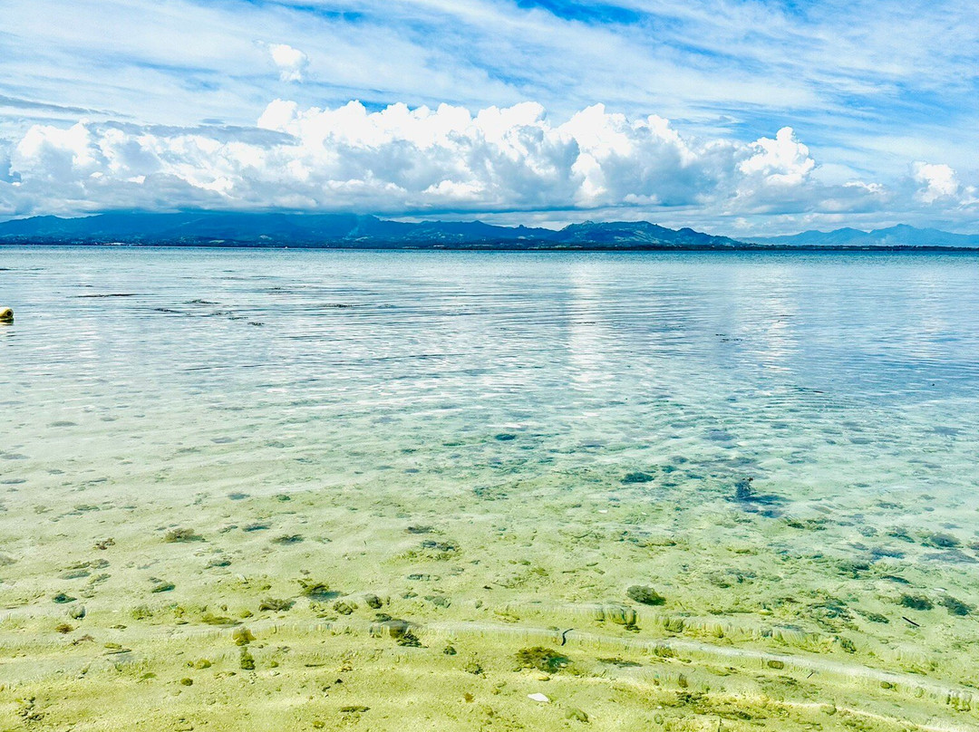 Tivua Island Fiji-纳迪市必去景点