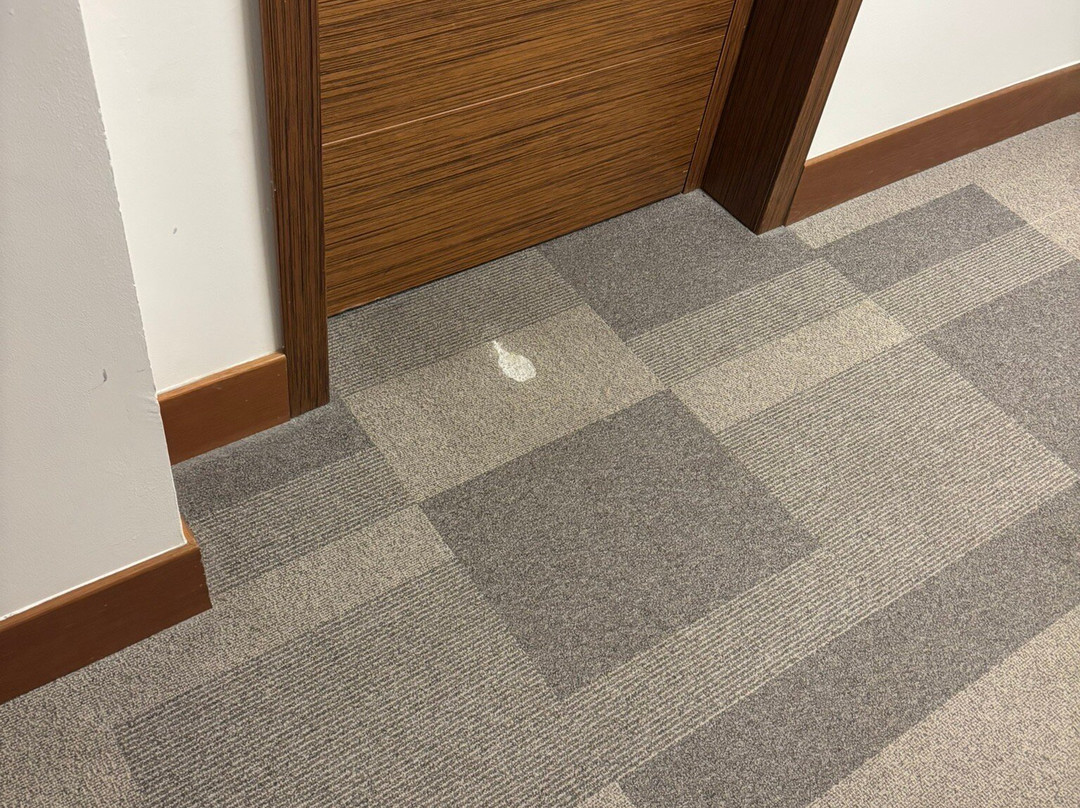 UNAHOTELS San Vitale Bologna主图