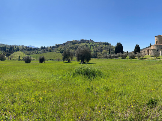 Tours Around Tuscany-锡耶纳必去景点