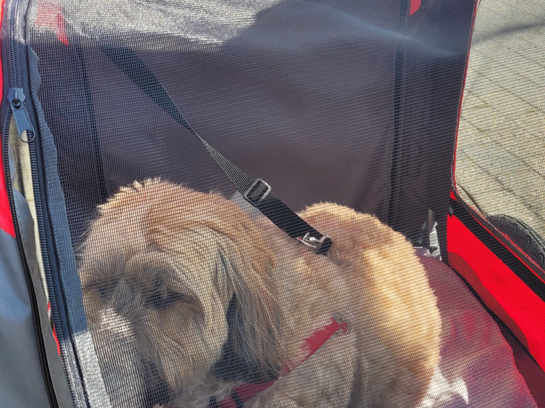 Buitenbeentje-迪克斯梅德必去景点