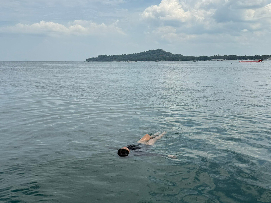 Matabungkay Beach景点图片