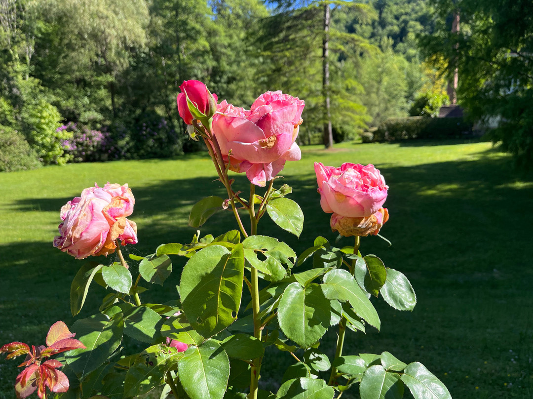 Domaine De La Brugere主图