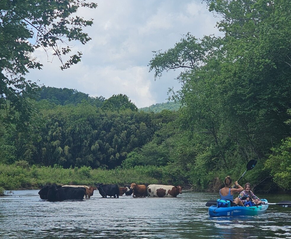 Headwaters Outfitters Outdoor Adventures景点图片