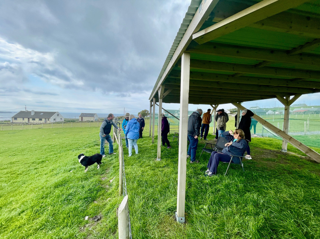 Away to Me Sheepdog Trial Demonstrations-Malin Beg必去景点