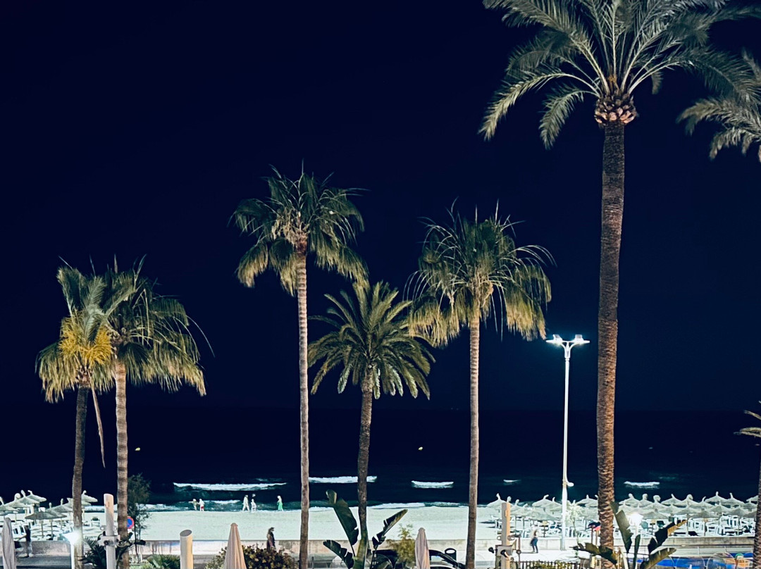 CM Playa del Moro主图