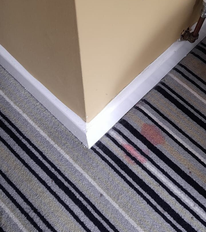 Holiday Inn Glasgow - East Kilbride by IHG主图