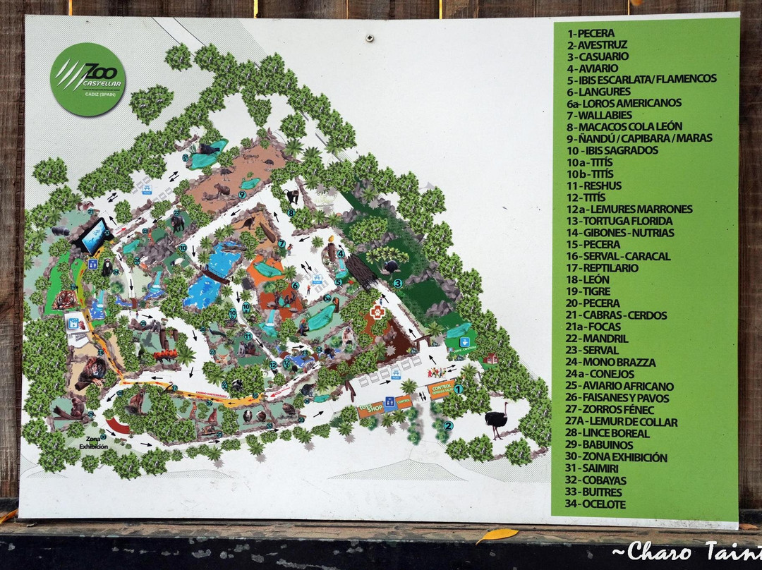 Zoo de Castellar-Castellar de la Frontera必去景点