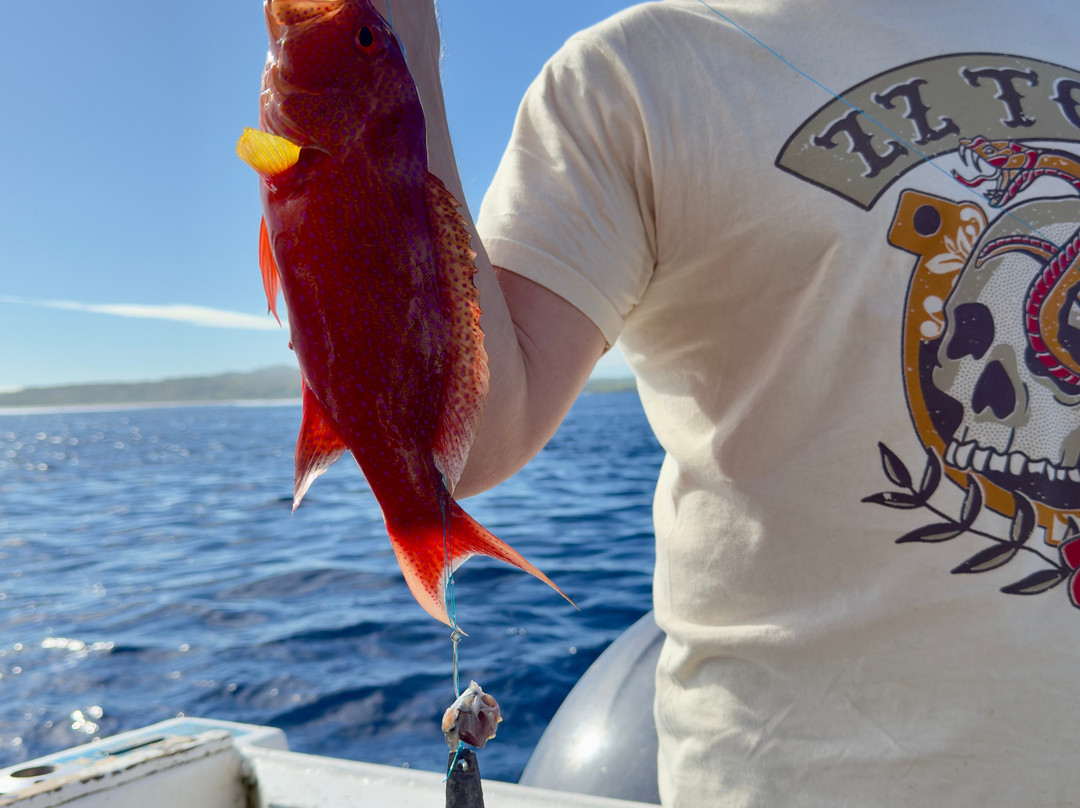 Coral Coast Fishing Charters-辛加东卡必去景点