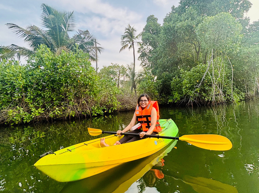 Zebra Kayaks-Munroe Island必去景点