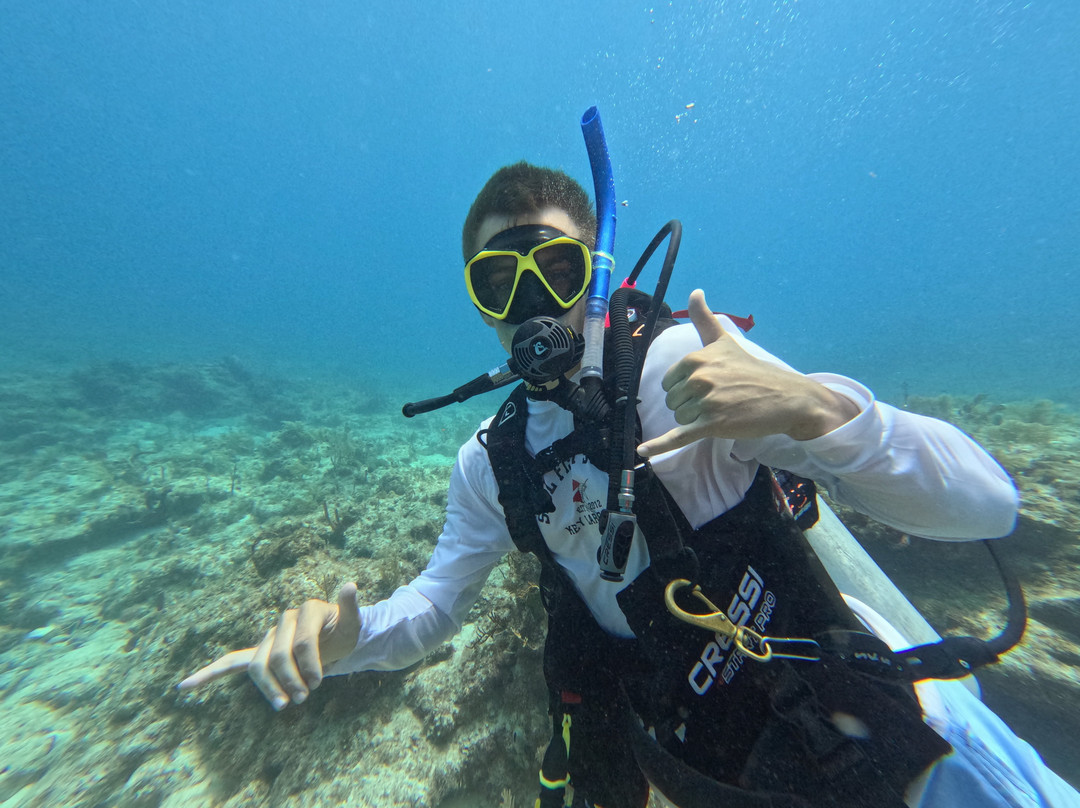 帆鱼潜水-拉哥岛必去景点