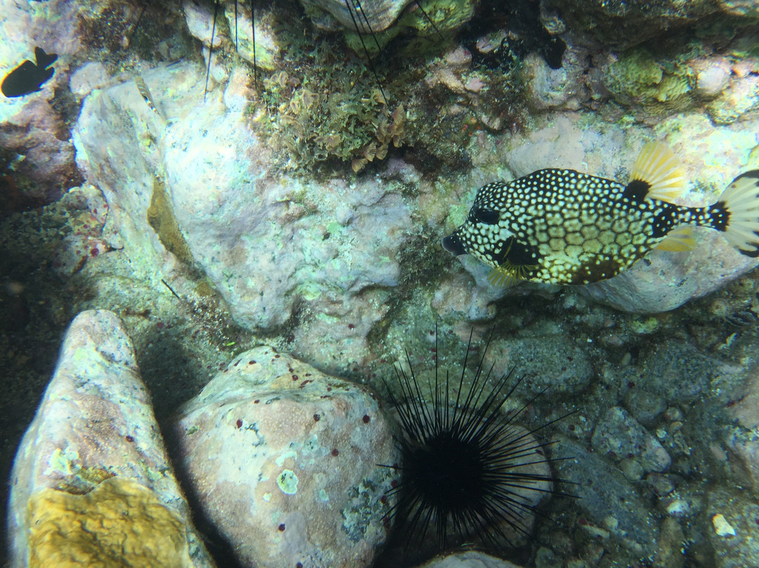 Kalinago-Sainte-Anne必去景点