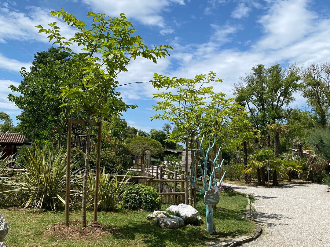 Parco Zoo Punta Verde景点图片