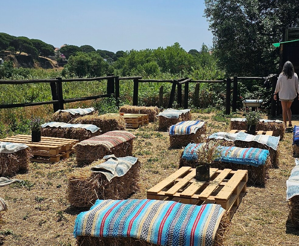 Cavalos Na Praia Do Meco - Lits Horses-Aldeia do Meco必去景点
