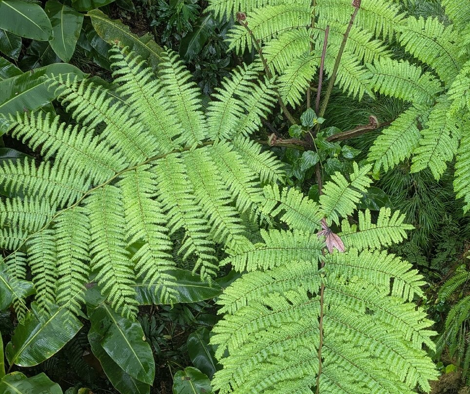 Los Pinos - Cabañas & Reserva主图