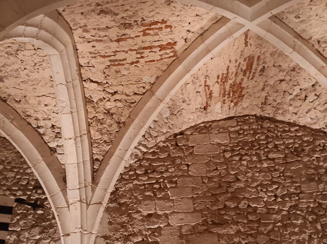 Chateau de Montmirail景点图片