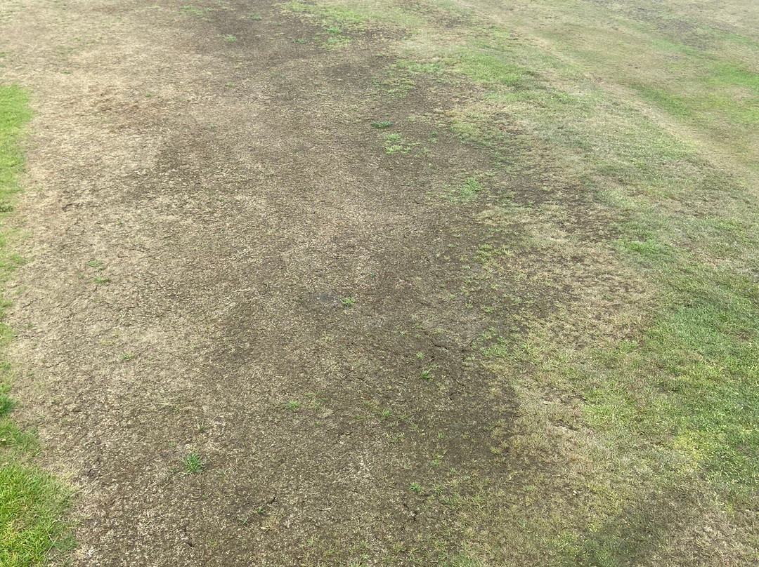 Matfen Hall Golf