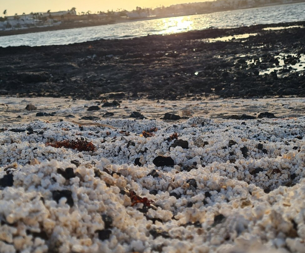 Popcorn Playa-科拉雷侯必去景点