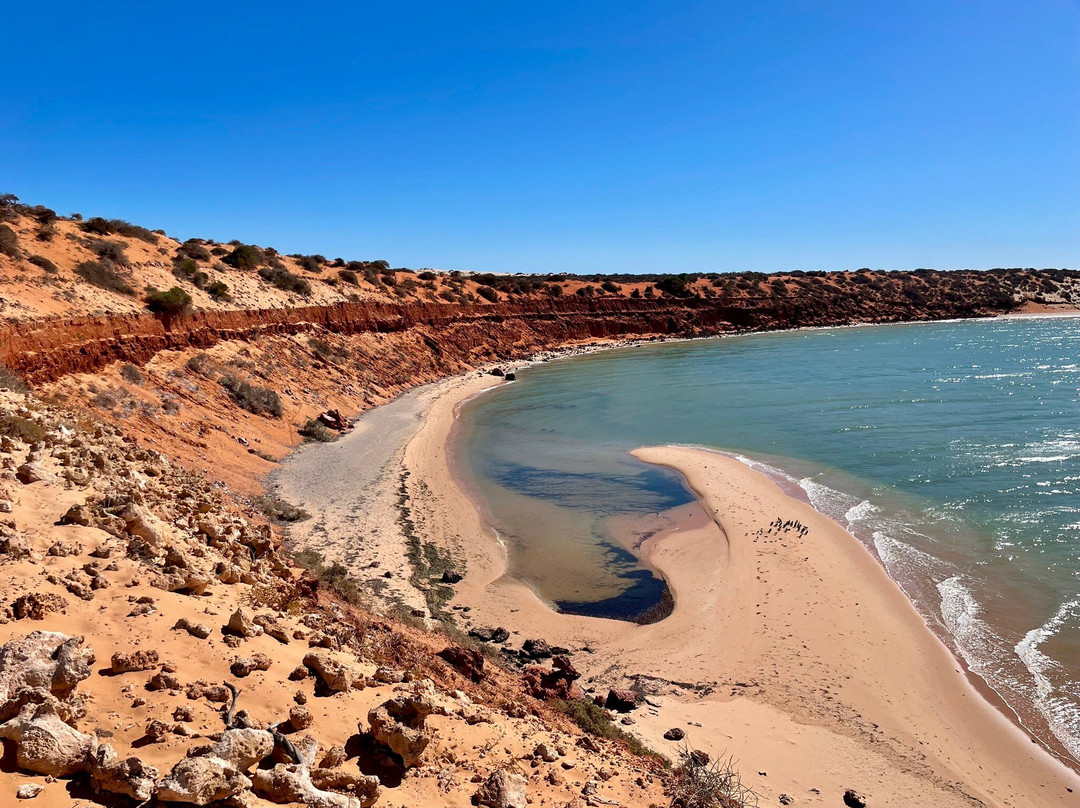 Francois Peron National Park-德纳姆必去景点