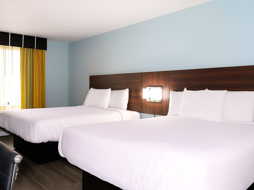 Florence Inns & Suites主图