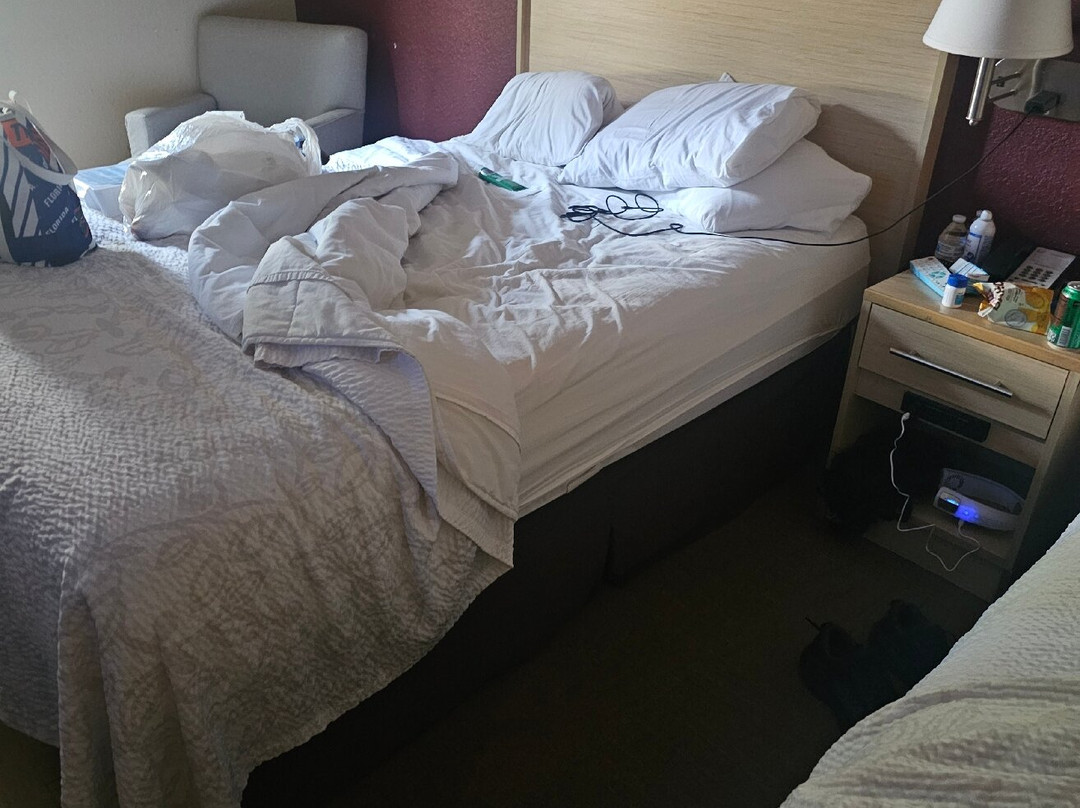 Red Roof Plus + Gainesville主图