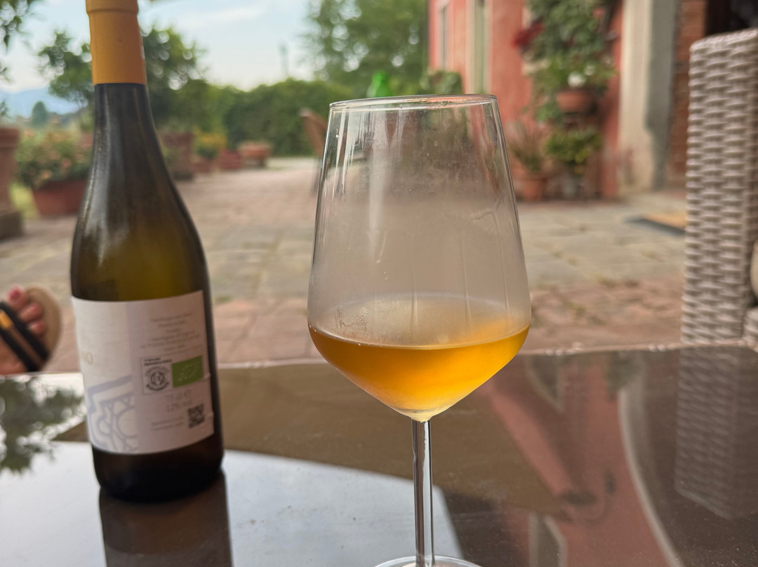 Al Podere di Rosa主图