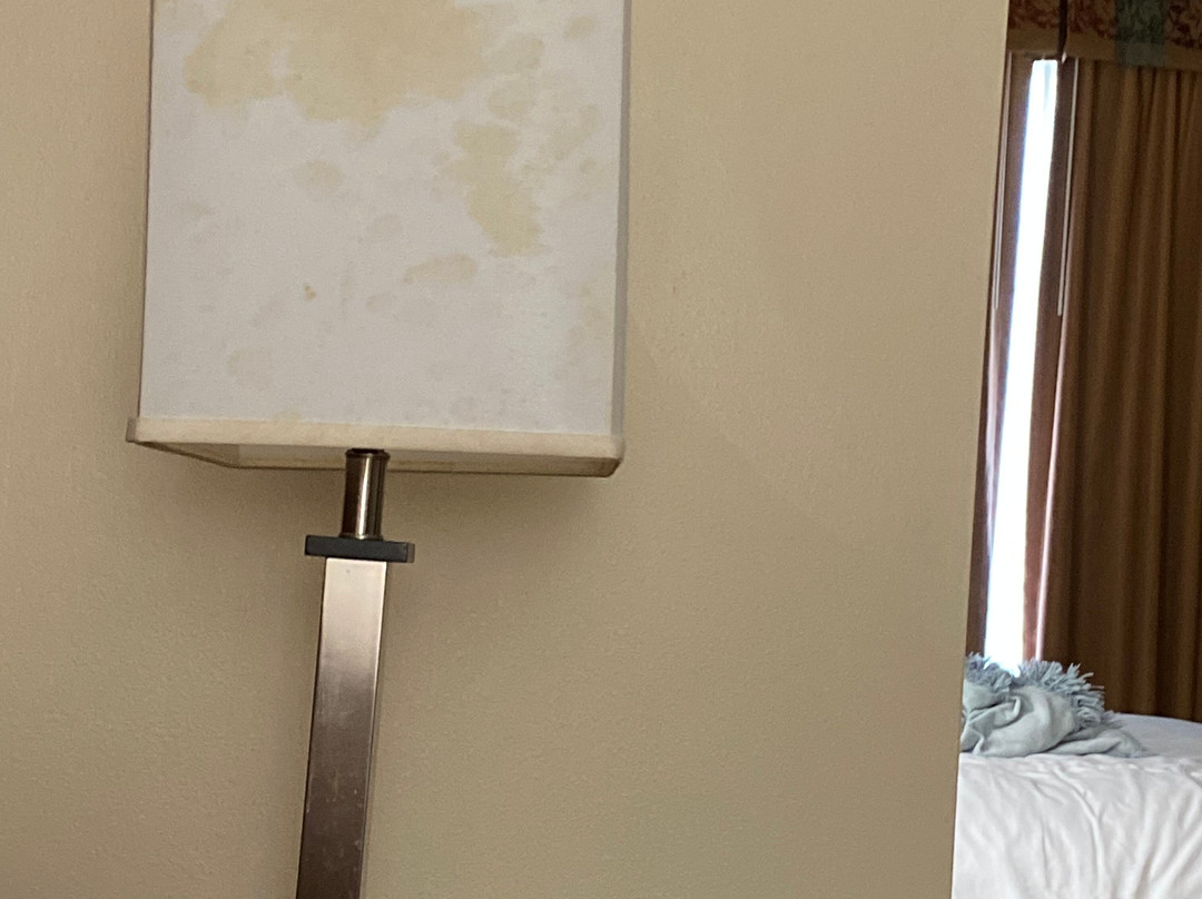 Baymont by Wyndham Henderson主图