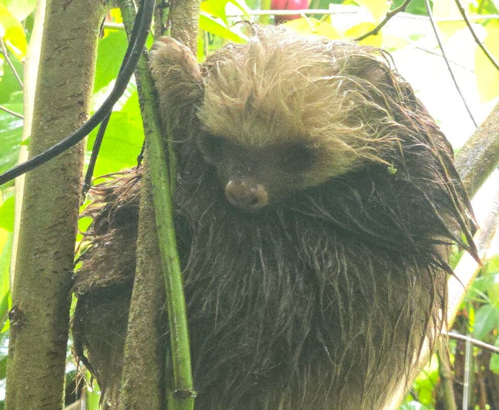 El Cadejo Marino-Playa Panama必去景点