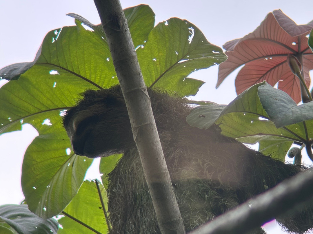 Manuel Antonio AdvenTour-哥斯达黎加安东尼奥国家公园必去景点