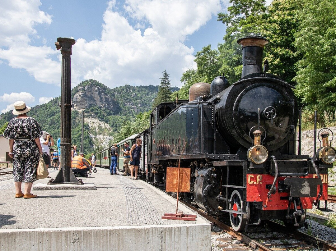Train des Pignes a Vapeur-Puget Theniers必去景点