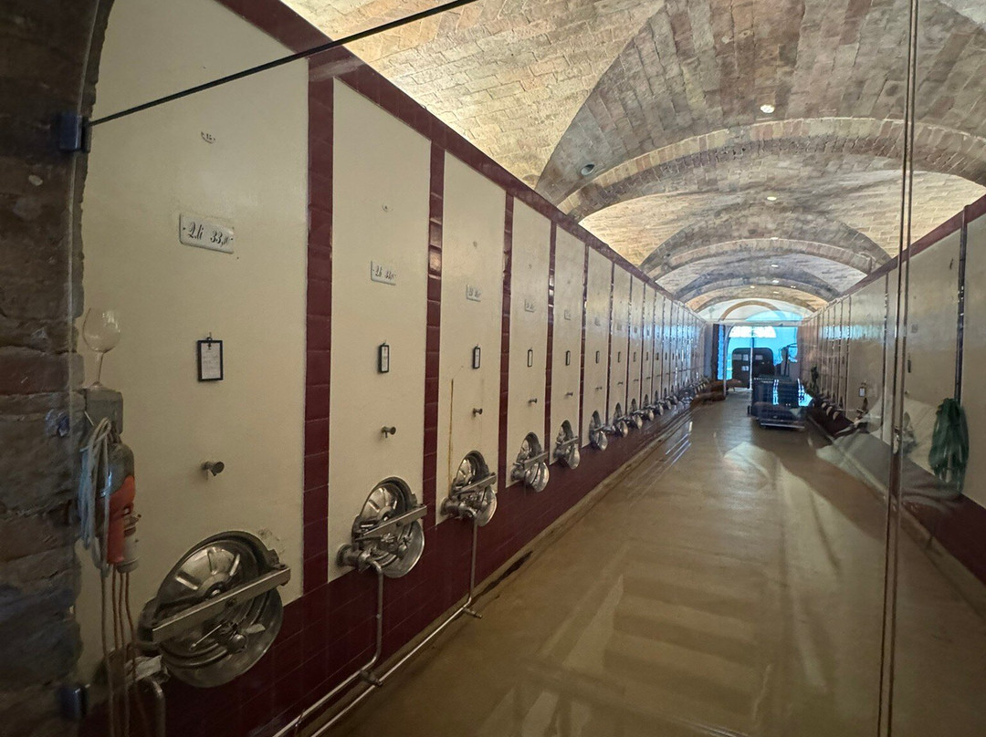 Fattoria San Michele A Torri Societa’ Agricola-null必去景点