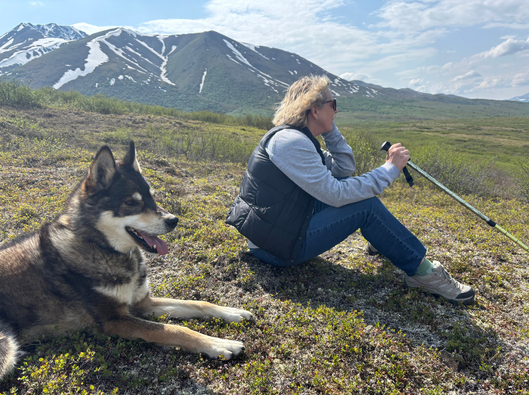 Squid Acres Kennel Dogsled Tours-坎特维尔必去景点