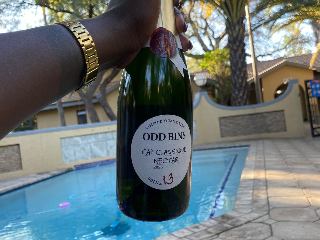 Madidinkwe Guest Villa主图